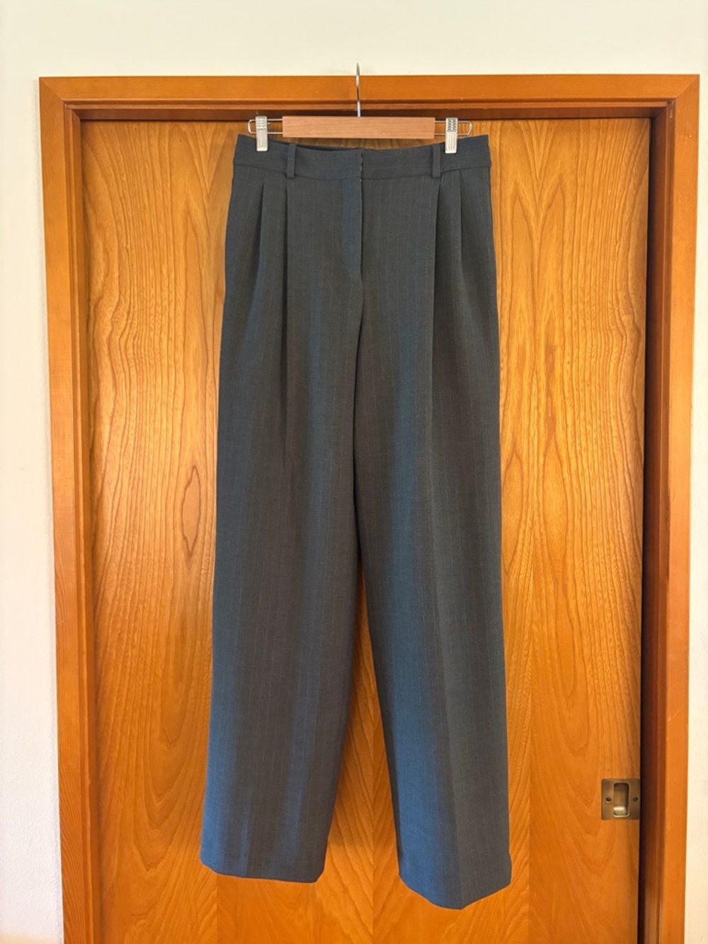 Aritzia Pleated Pant High-Waist Wide-Leg Trousers in Charcoal Gray